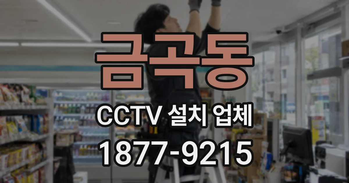 금곡동 CCTV 설치 업체