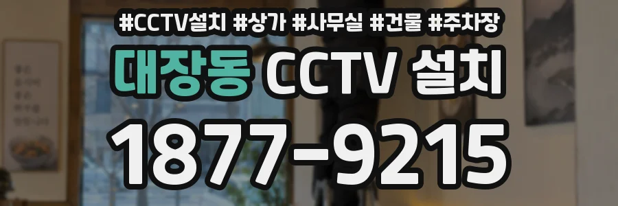 대장동 CCTV 설치