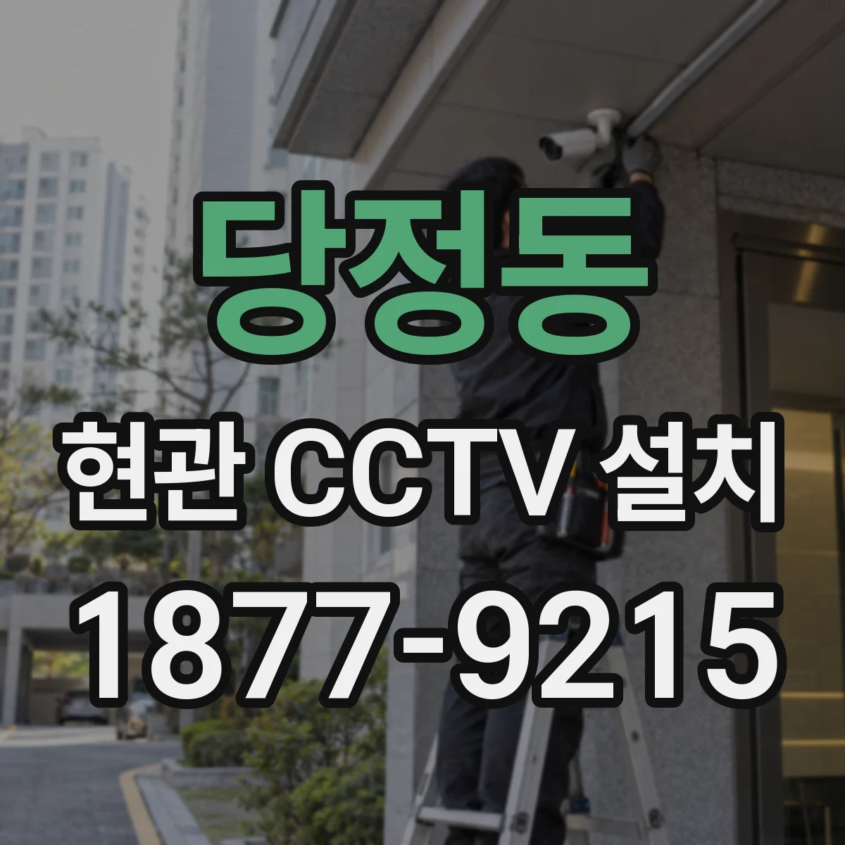 당정동 현관 CCTV 설치