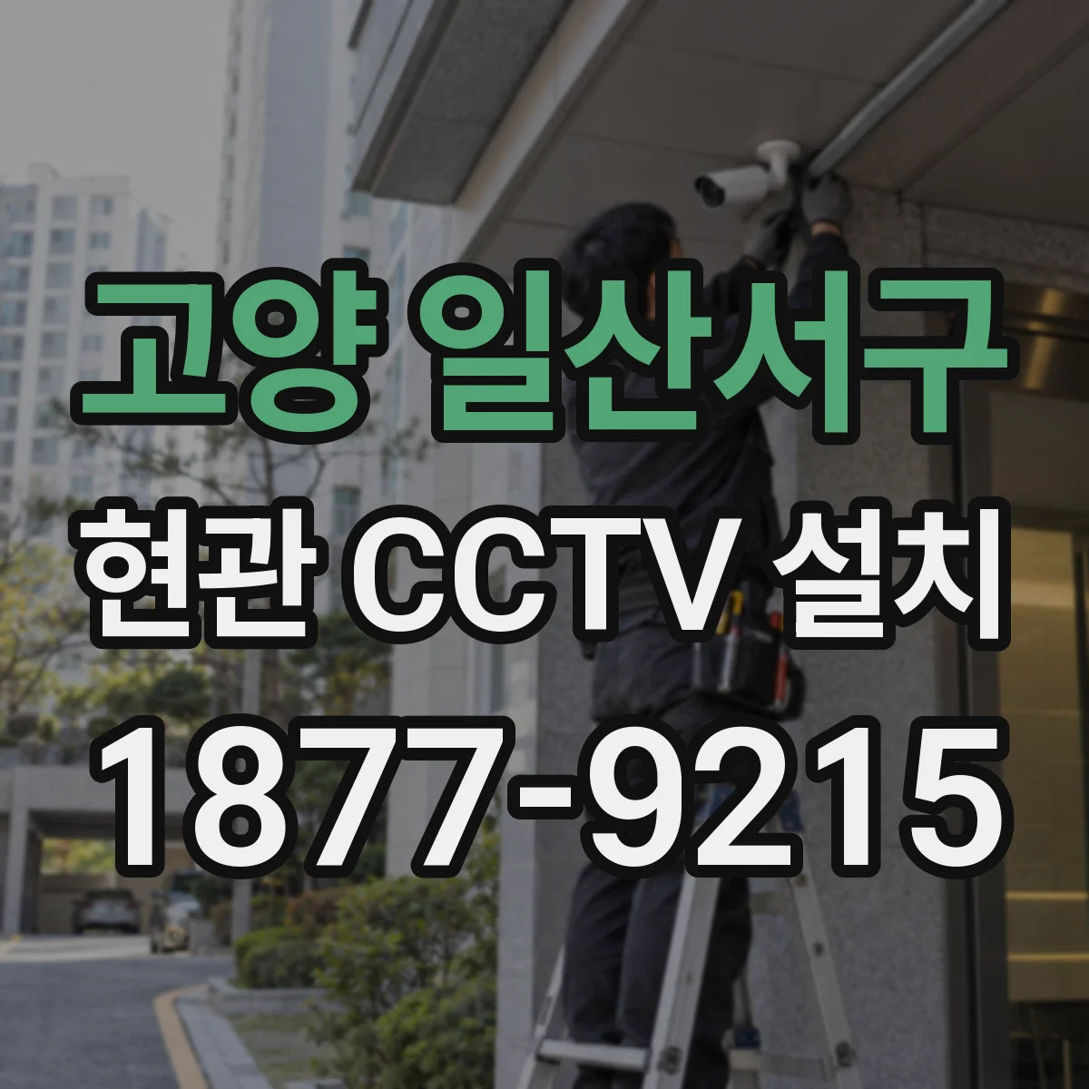 고양 일산서구 현관 CCTV 설치