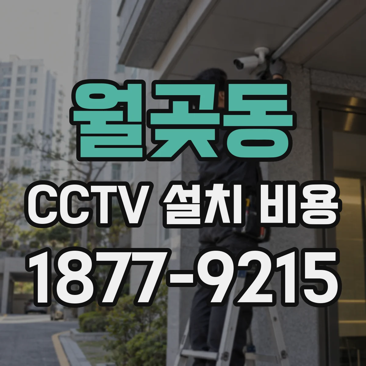 월곶동 CCTV 설치 비용