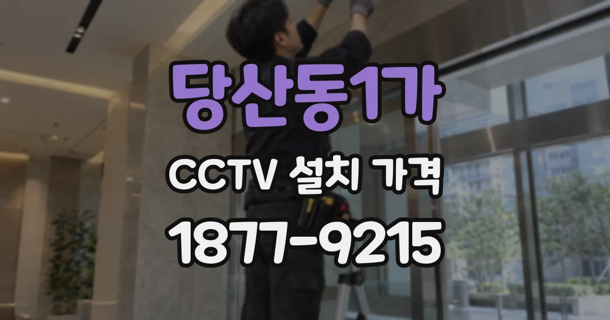 당산동1가 CCTV 설치 가격