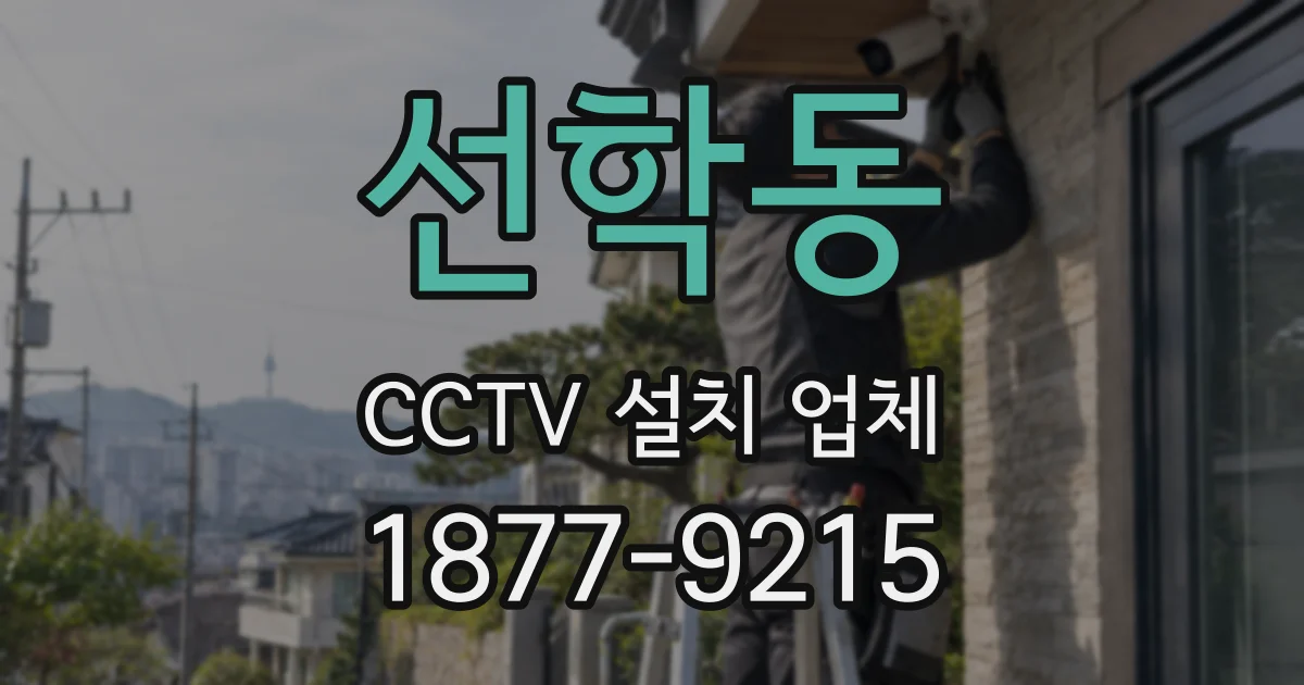 선학동 CCTV 설치 업체