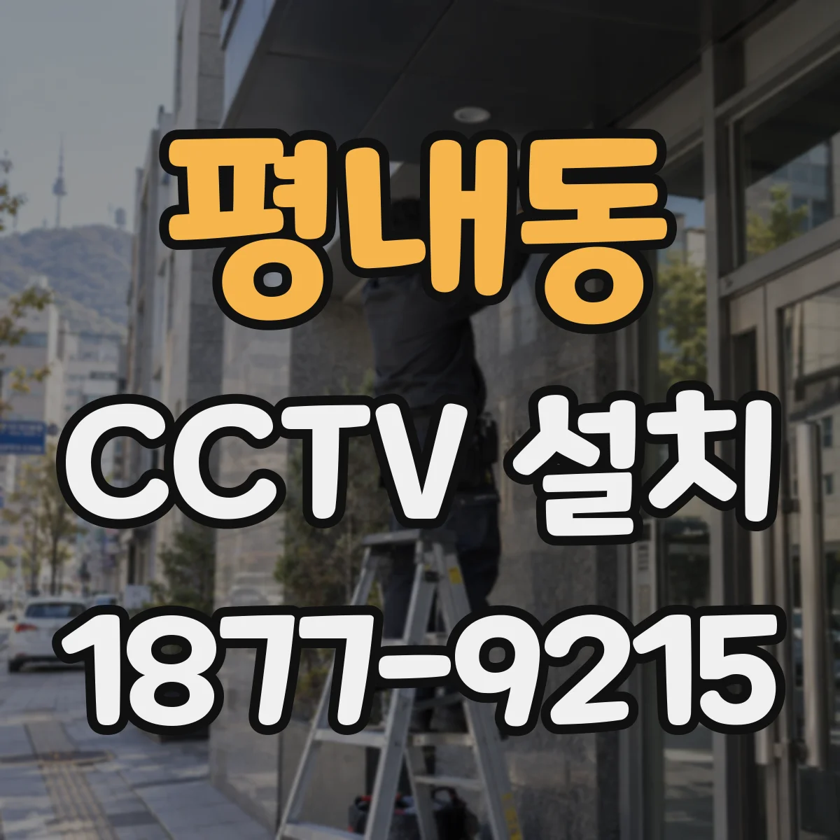 평내동 CCTV 설치