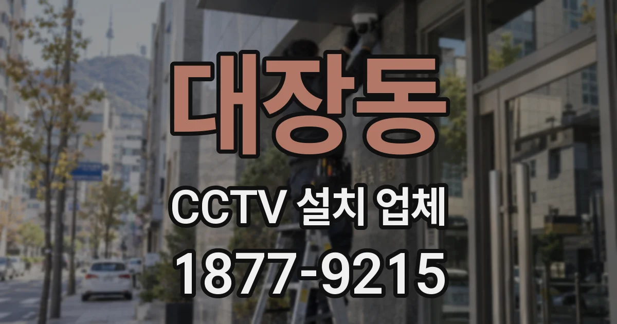 대장동 CCTV 설치 업체