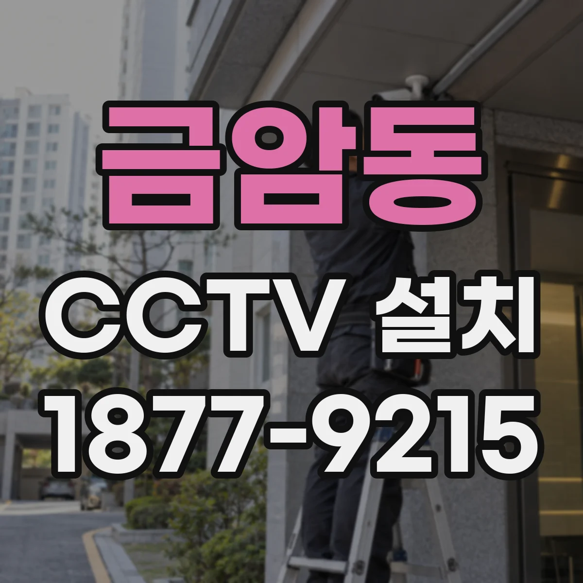 금암동 CCTV 설치