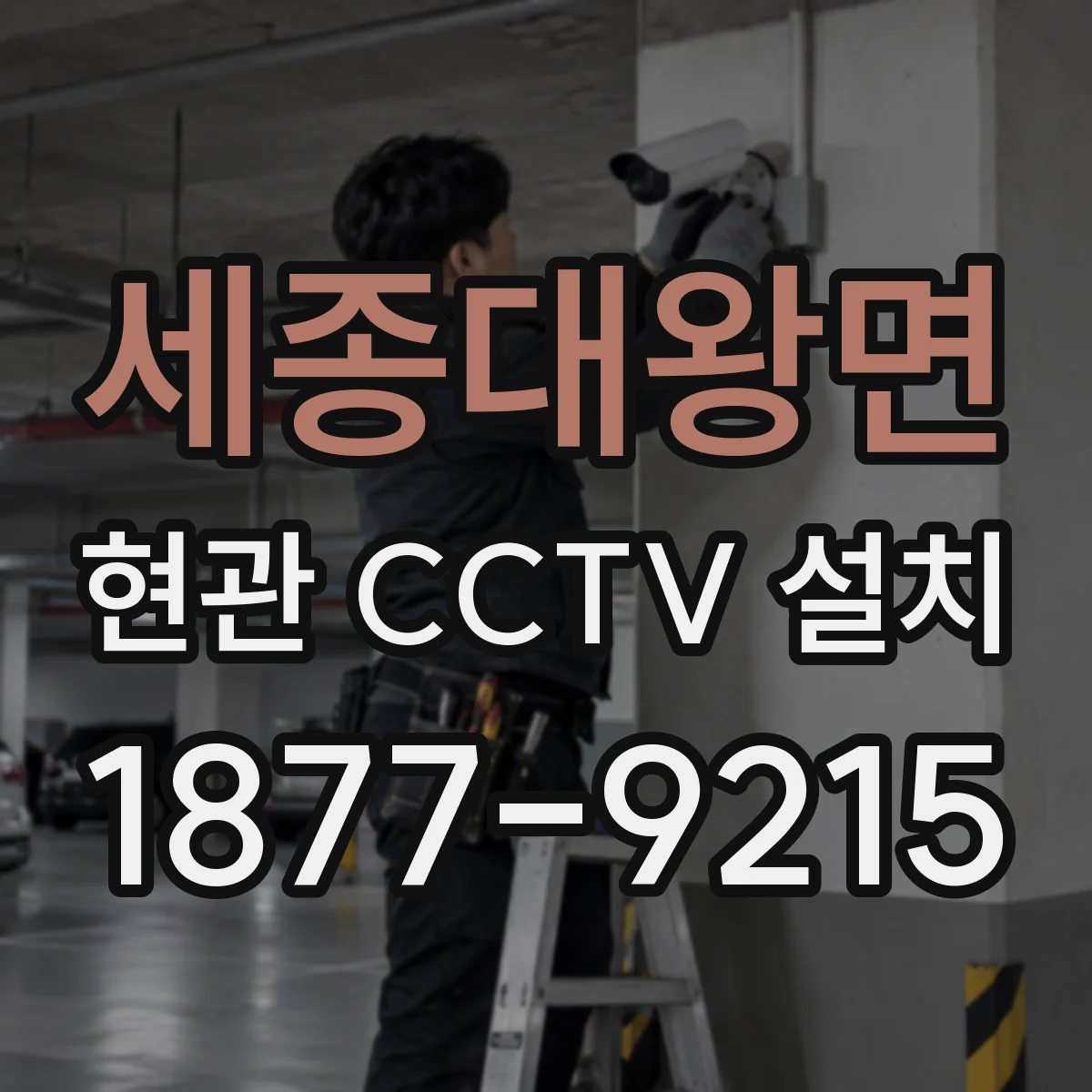 세종대왕면 현관 CCTV 설치