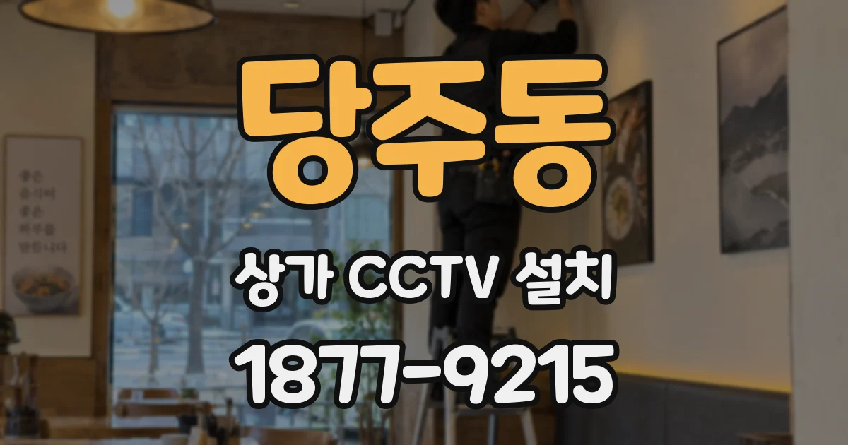 당주동 상가 CCTV 설치