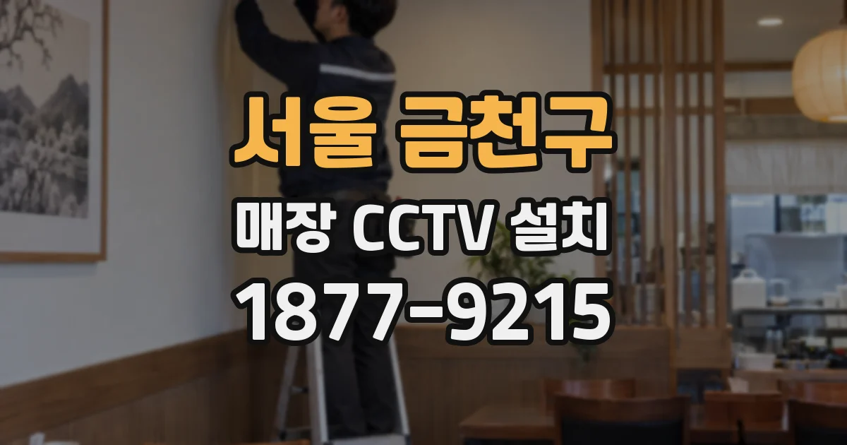 서울 금천구 매장 CCTV 설치