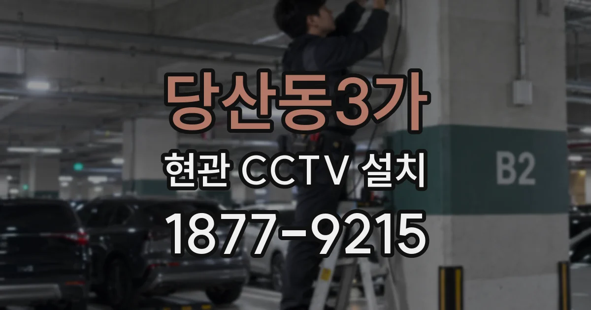 당산동3가 현관 CCTV 설치