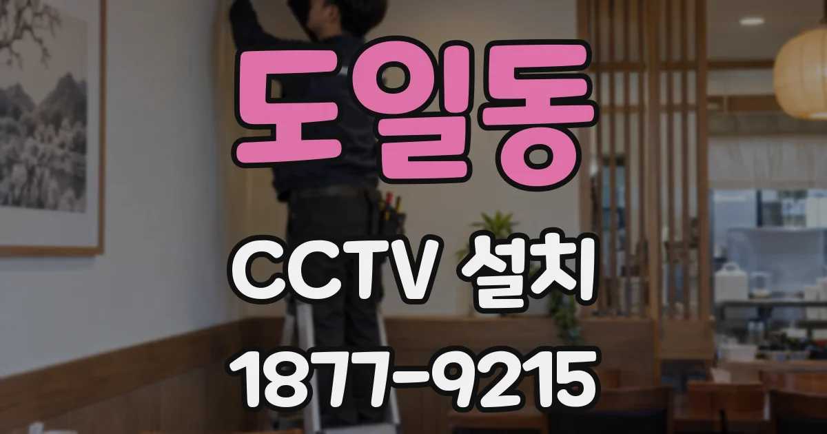 도일동 CCTV 설치