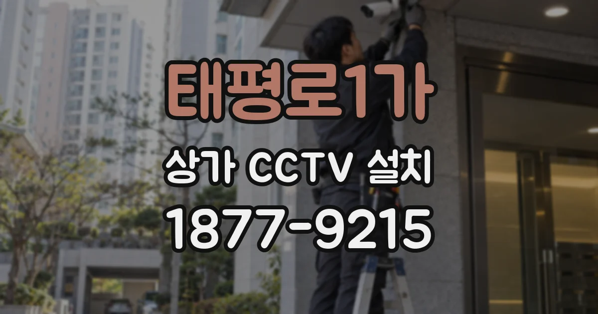 태평로1가 상가 CCTV 설치