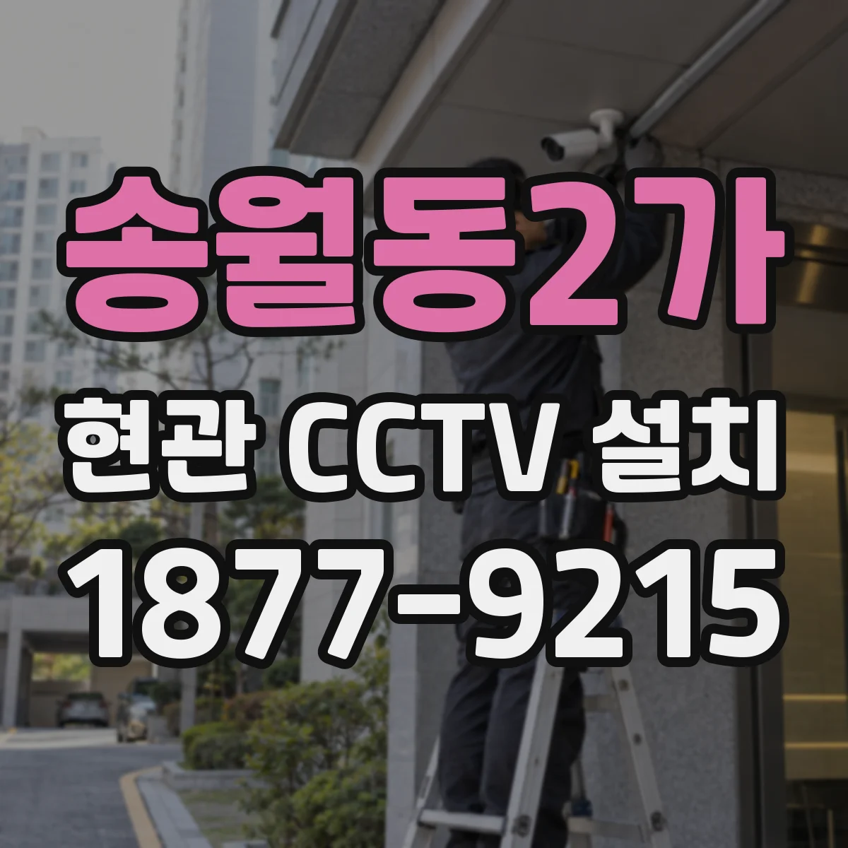 송월동2가 현관 CCTV 설치