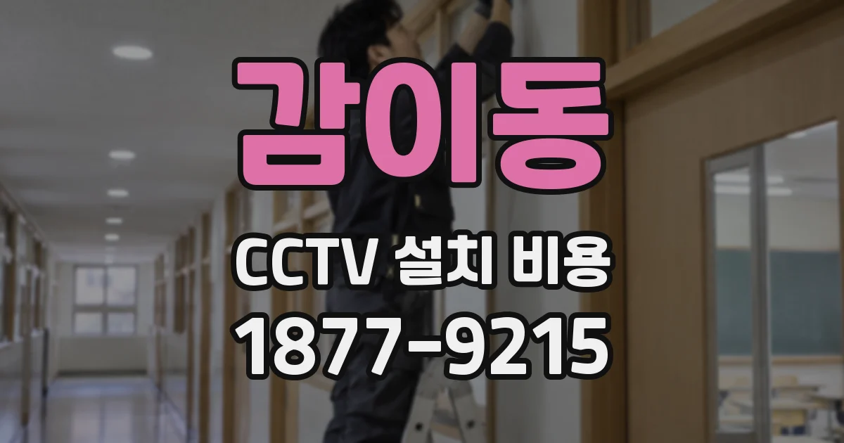 감이동 CCTV 설치 비용