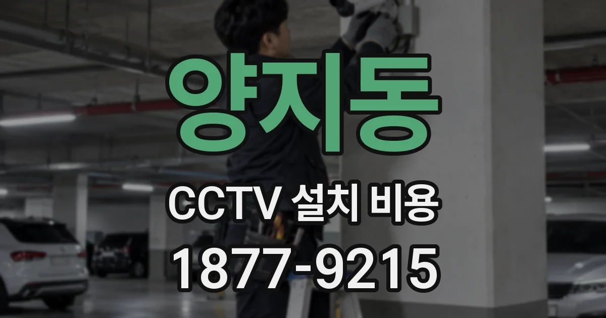 양지동 CCTV 설치 비용