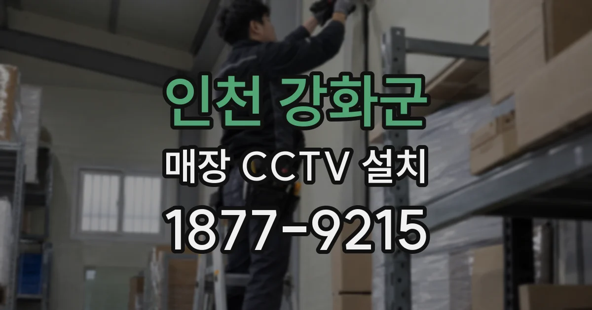 인천 강화군 매장 CCTV 설치