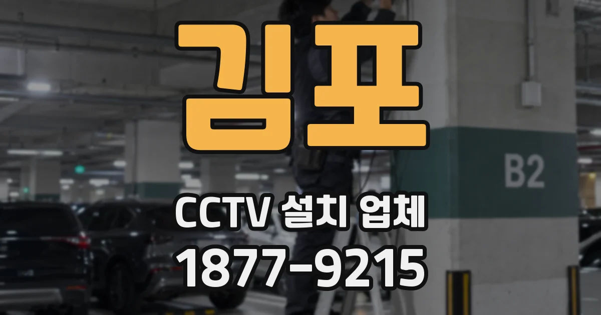 김포 CCTV 설치 업체