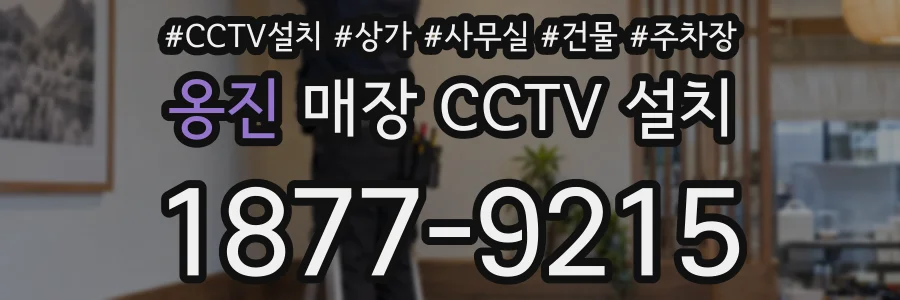 옹진 매장 CCTV 설치