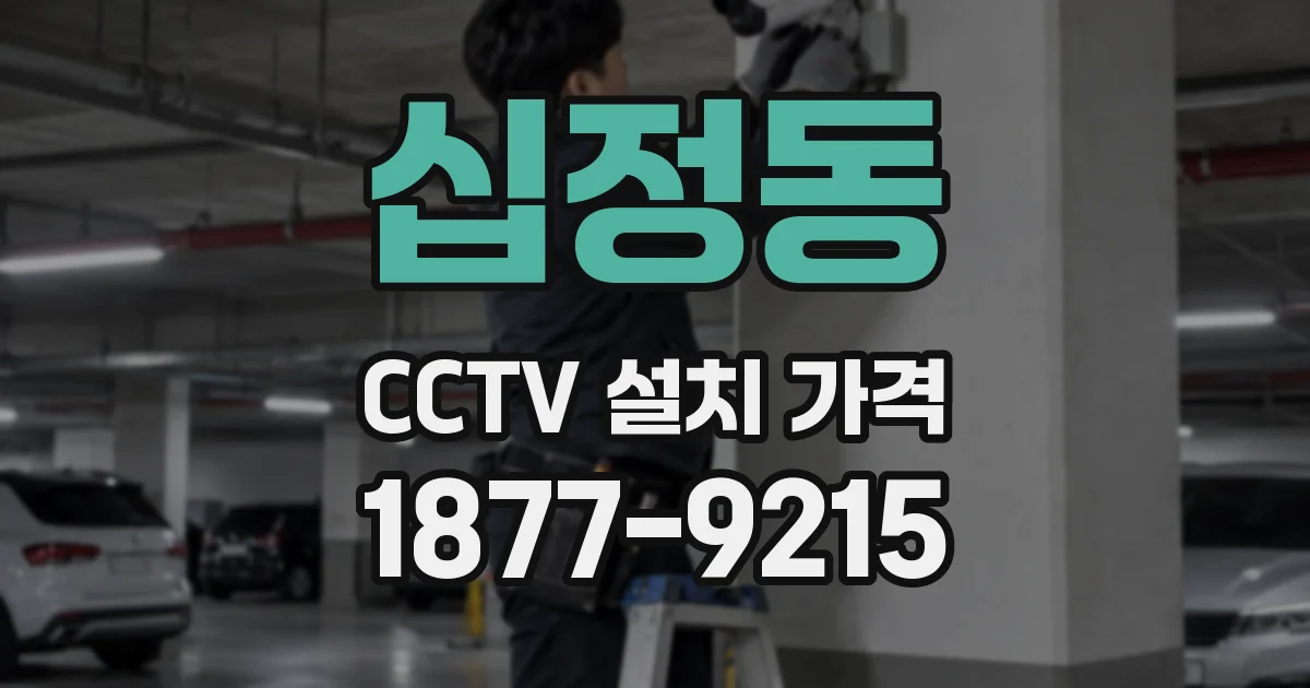 십정동 CCTV 설치 가격