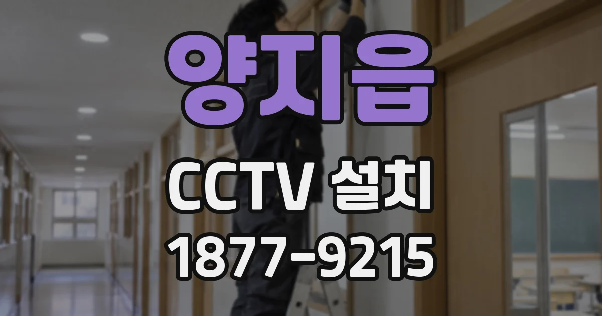 양지읍 CCTV 설치