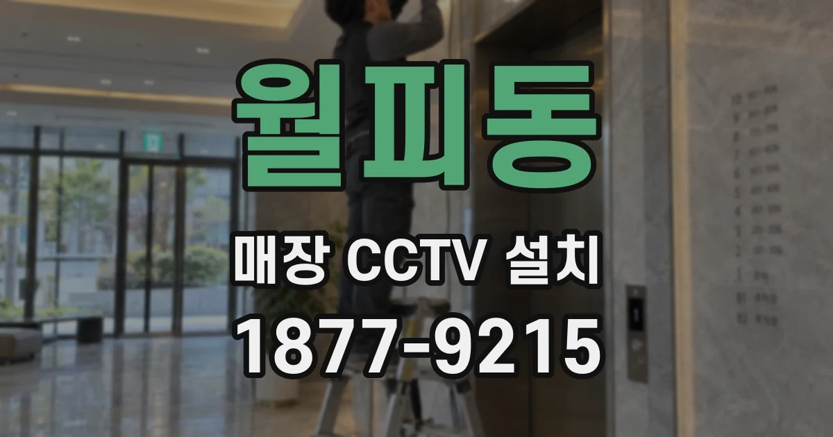 월피동 매장 CCTV 설치