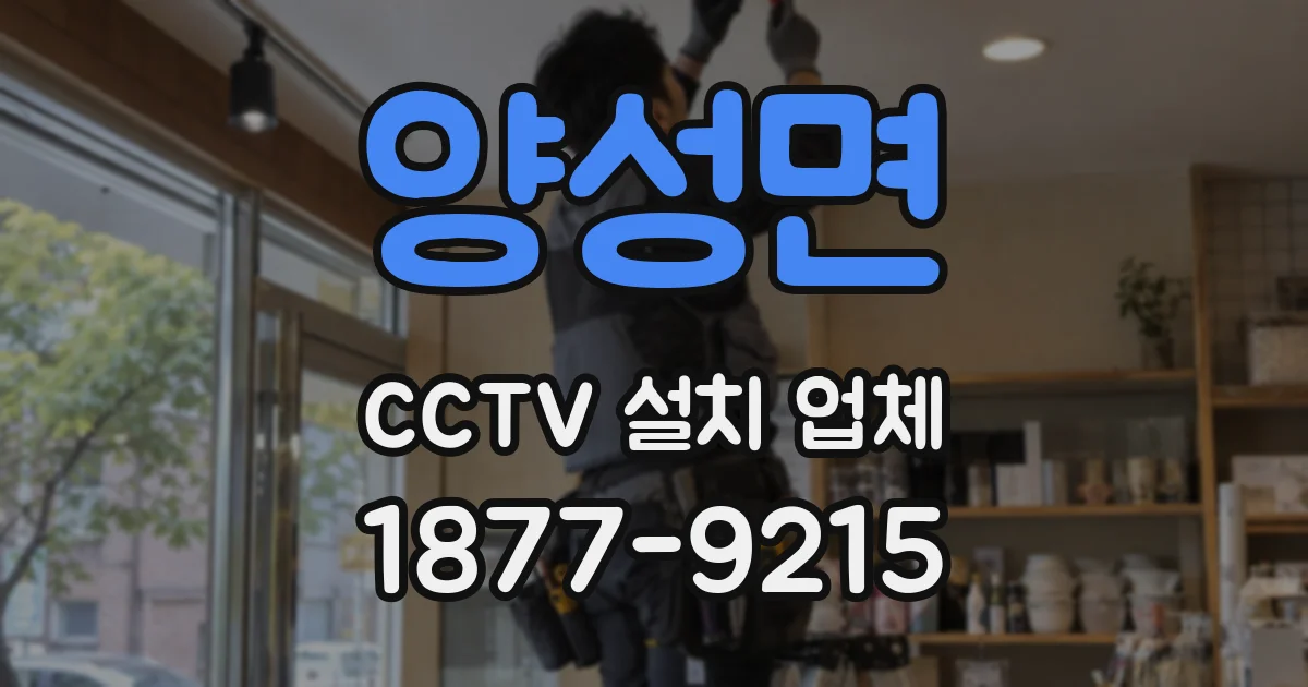양성면 CCTV 설치 업체