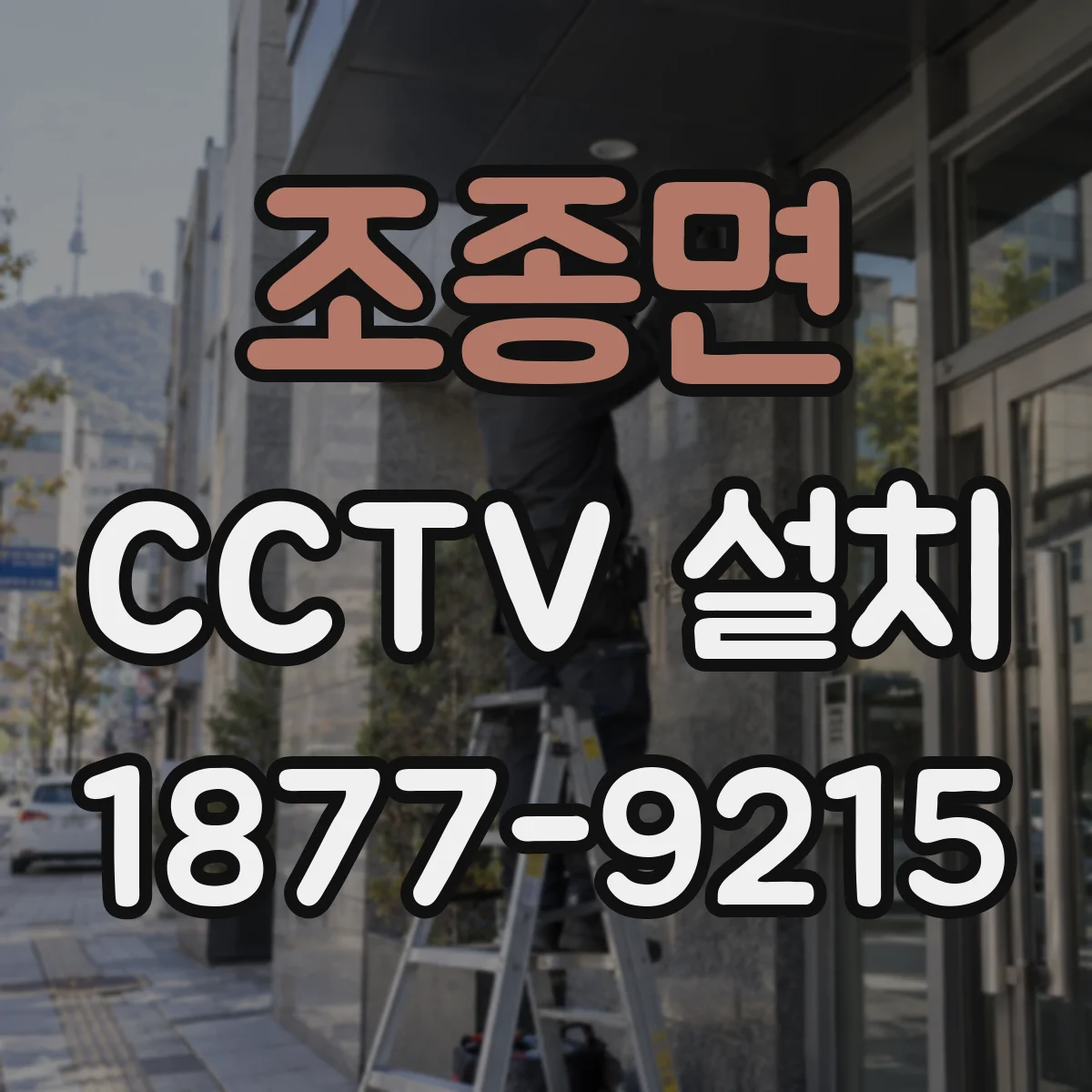 조종면 CCTV 설치