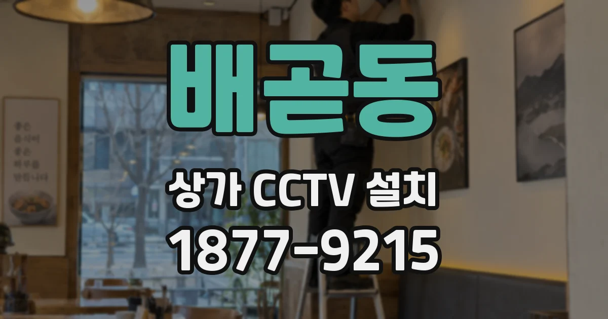 배곧동 상가 CCTV 설치