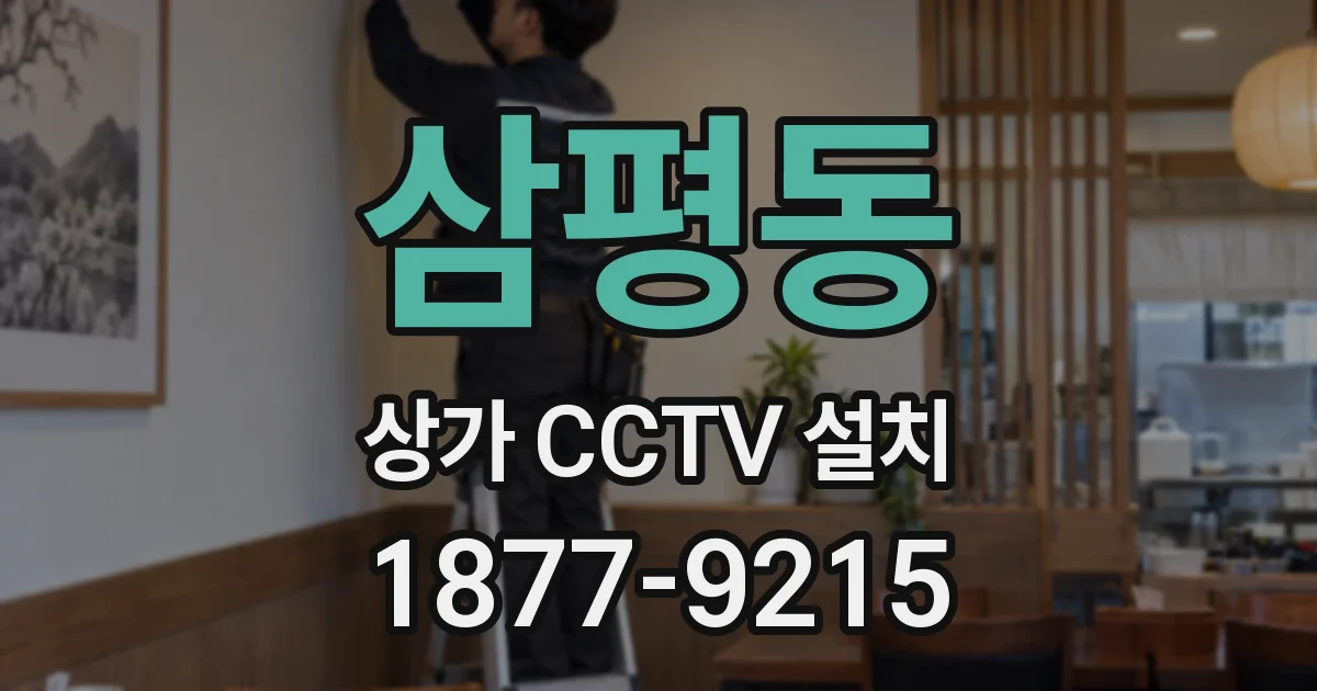 삼평동 상가 CCTV 설치