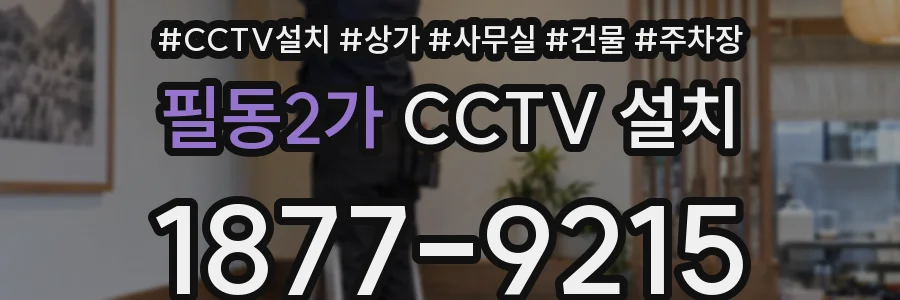 필동2가 CCTV 설치