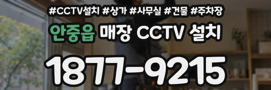 안중읍 매장 CCTV 설치