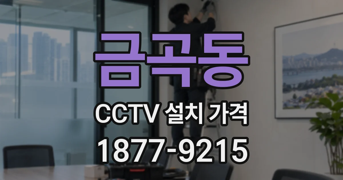금곡동 CCTV 설치 가격