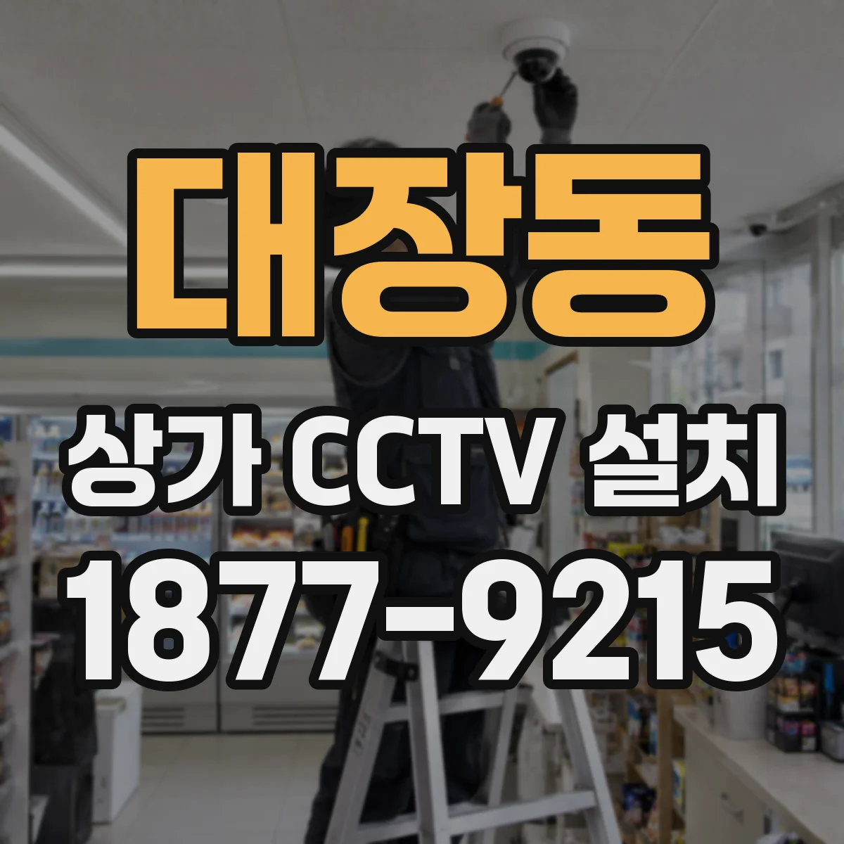 대장동 상가 CCTV 설치