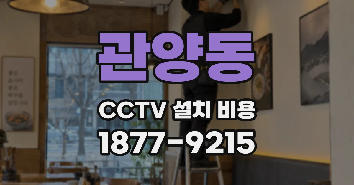 관양동 CCTV 설치 비용