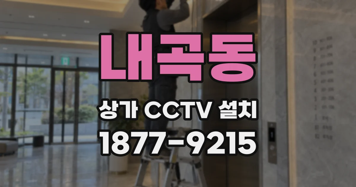 내곡동 상가 CCTV 설치