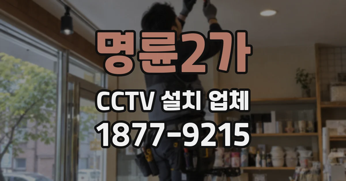 명륜2가 CCTV 설치 업체