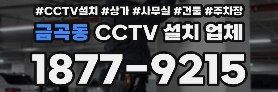 금곡동 CCTV 설치 업체