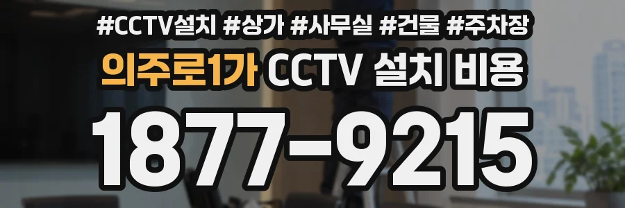 의주로1가 CCTV 설치 비용