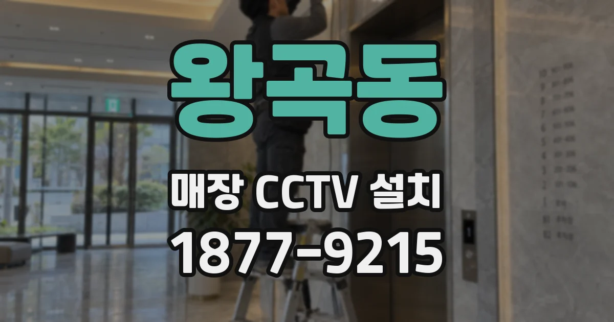 왕곡동 매장 CCTV 설치