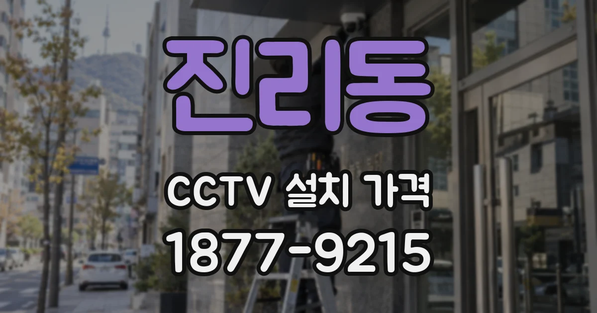 진리동 CCTV 설치 가격