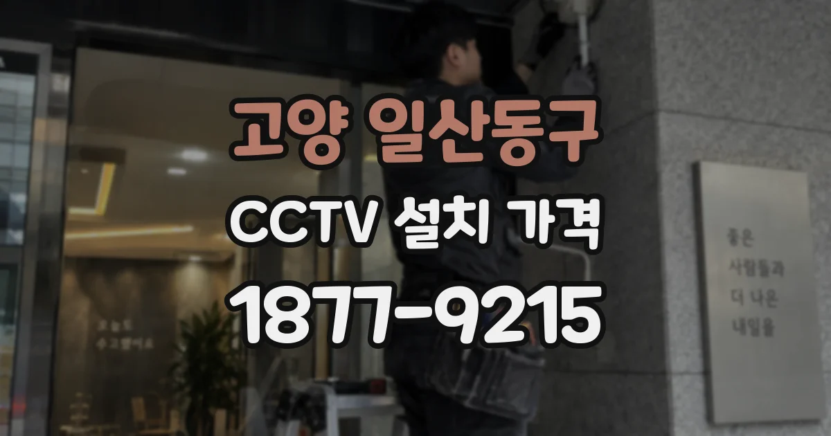 고양 일산동구 CCTV 설치 가격