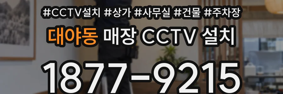 대야동 매장 CCTV 설치