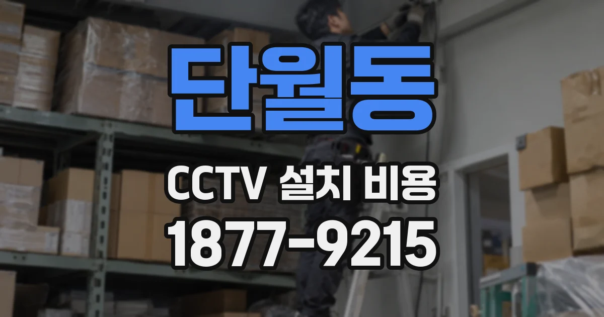 단월동 CCTV 설치 비용