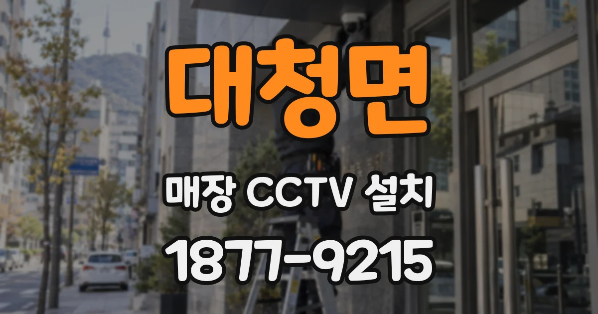 대청면 매장 CCTV 설치