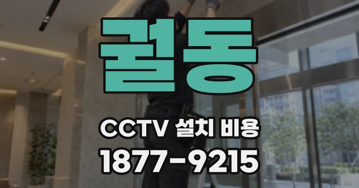 궐동 CCTV 설치 비용