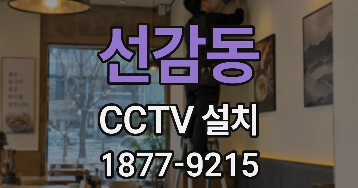 선감동 CCTV 설치