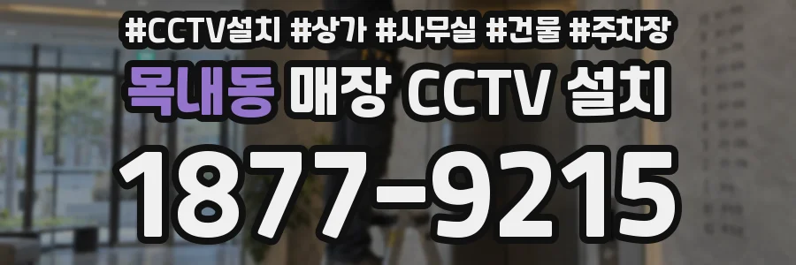 목내동 매장 CCTV 설치