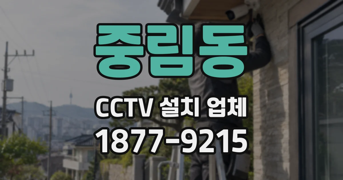 중림동 CCTV 설치 업체