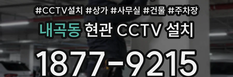 내곡동 현관 CCTV 설치