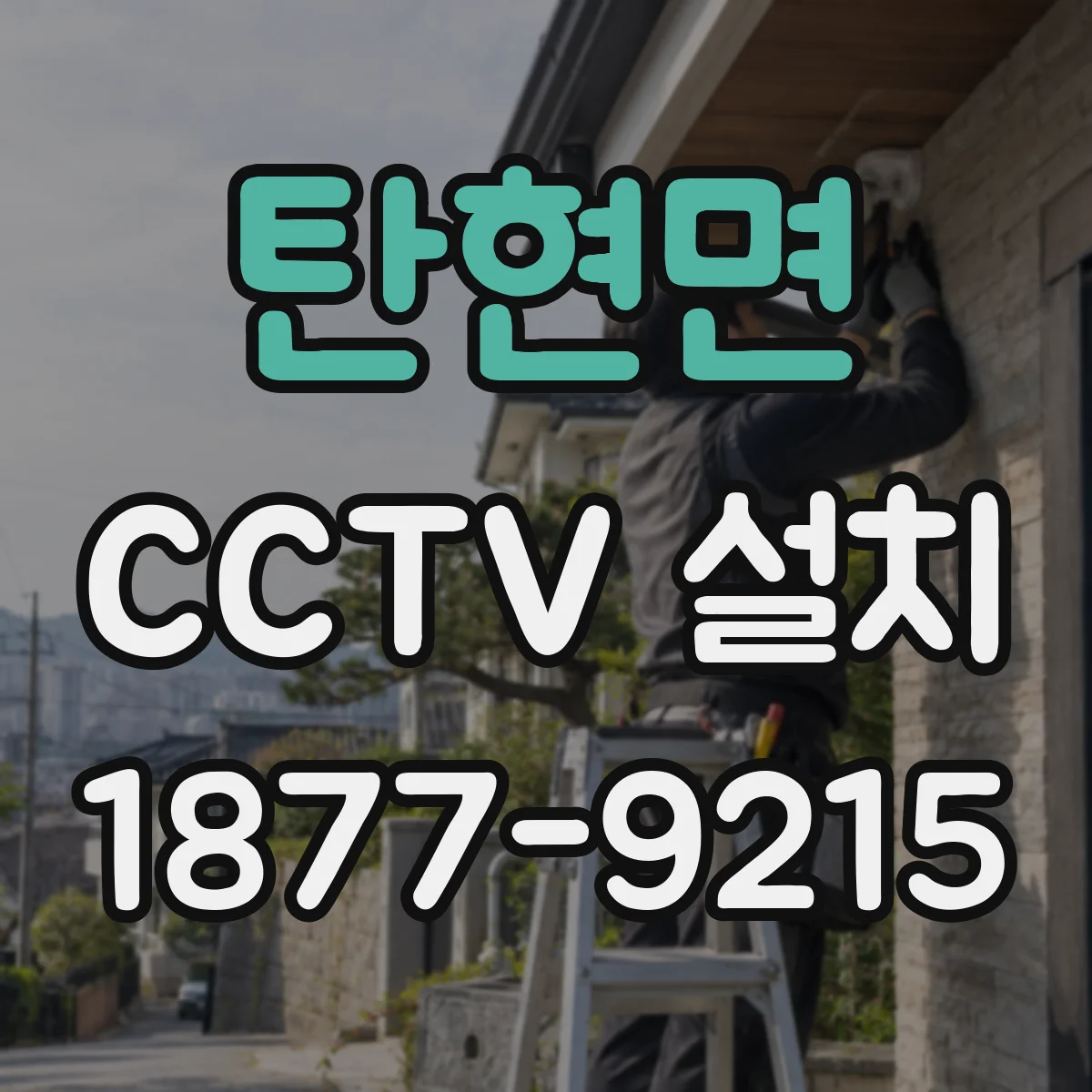 탄현면 CCTV 설치